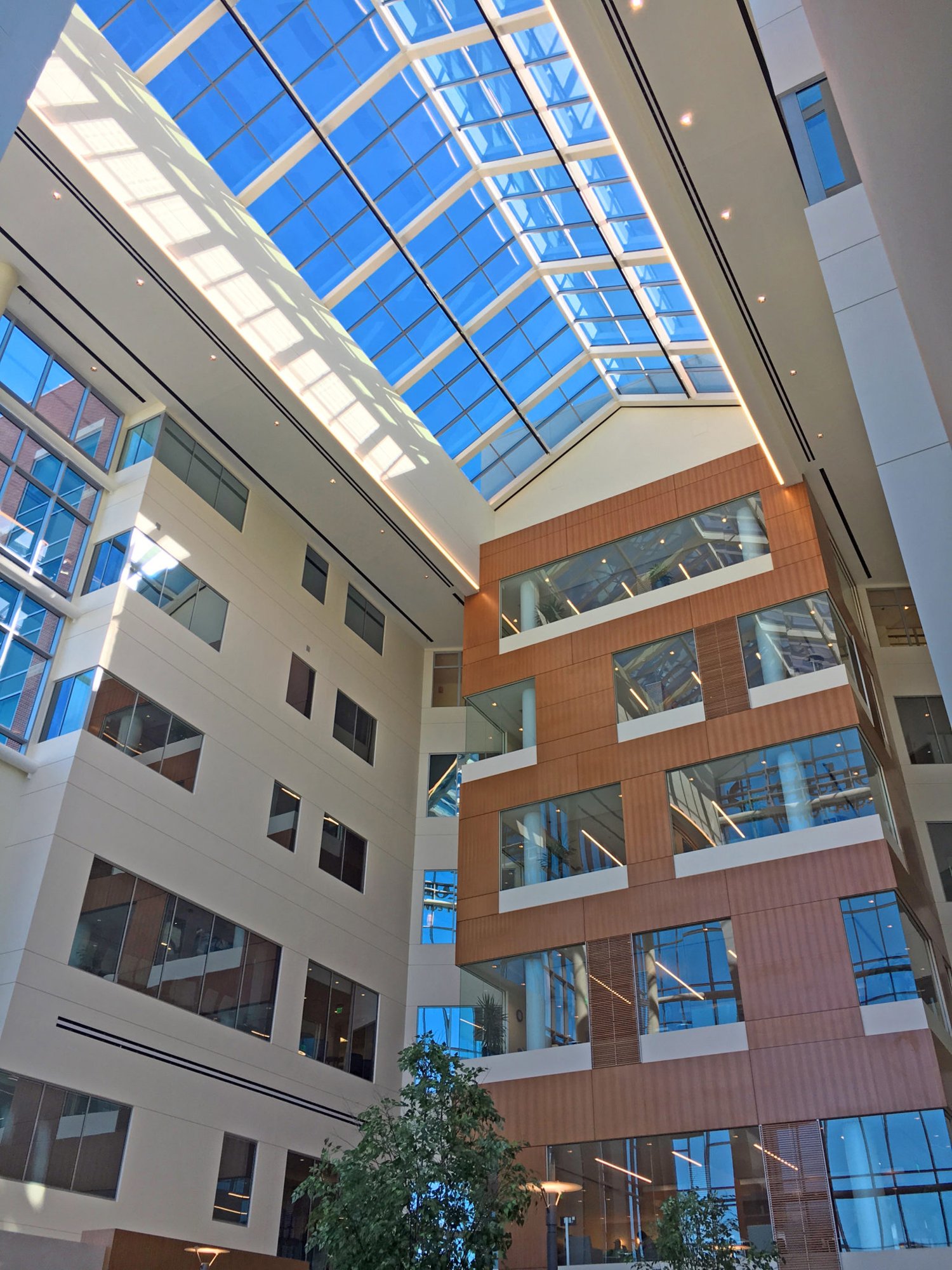 Application--C6RG-2549-Healthcare-Structural-Skylights-Custom-Pinnacle-Series-0121