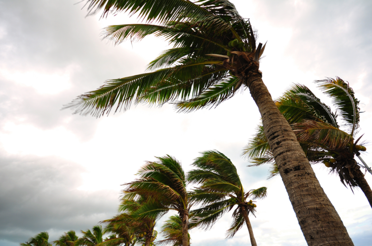Residential VELUX Skylights with Miami-Dade NOA can survive a hurricne.