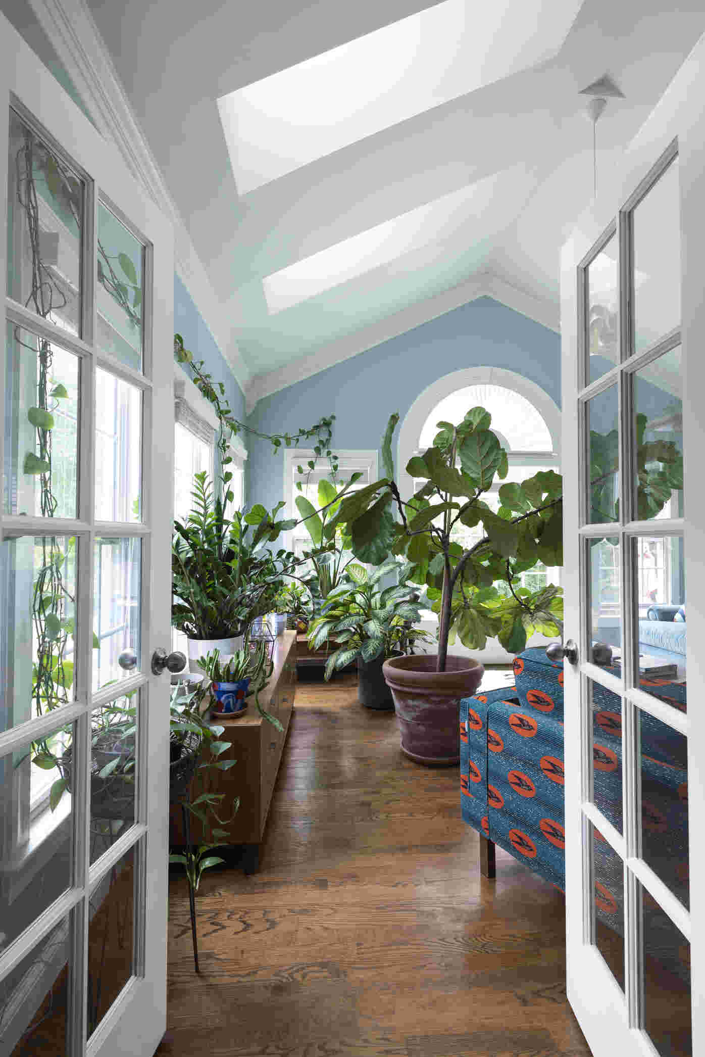 Eco-friendly home upgrades, like skylights, enhance biophilic design