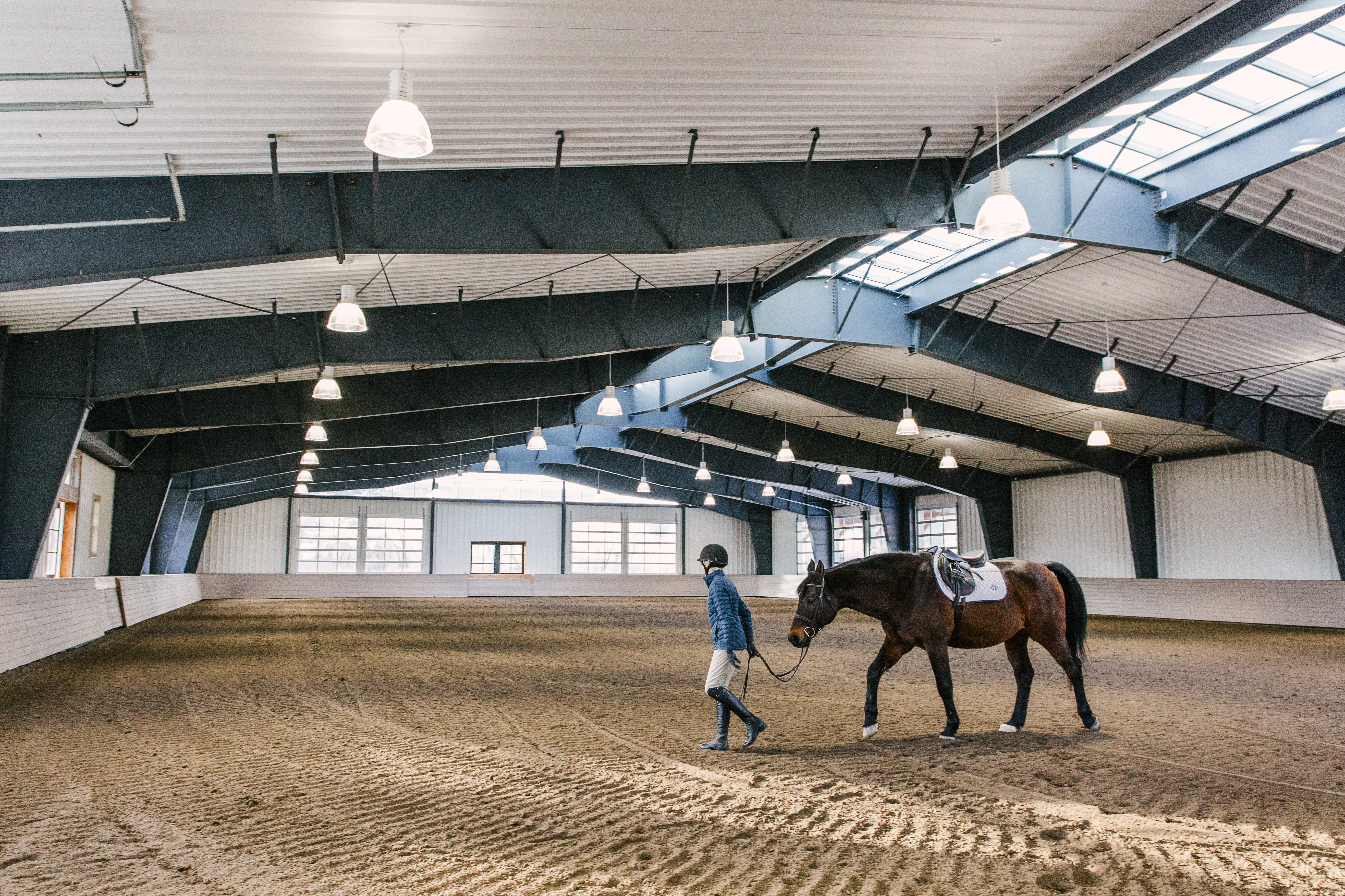 Winter Farm Horse VELUX Modular Skylight Image